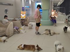 -怪兽屋·羊驼·猫咖·狗咖(俊华广场店)