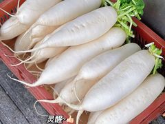 -燕子煨汤(山海关路店)