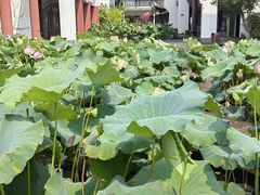 -丝绸小镇荻港古村