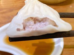 鲜肉小笼-苏小柳手工点心(人民广场分院)