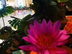 -泰香米泰国餐厅(中大国际店)
