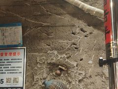 -破瓦寒窑·地摊烤羊排