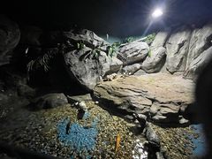 -苏州海洋馆