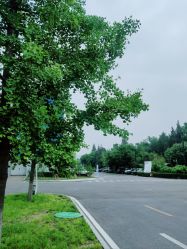 -北京明德医院