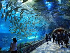 -华夏文旅海洋公园