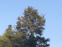 -九华山友谊土菜馆 小资餐厅