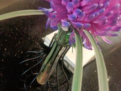 -铭轩中餐厅·海南菜·粤菜(亚龙湾瑞吉店)