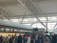 -约翰·菲茨杰拉德·肯尼迪国际机场