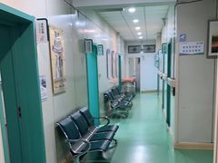-北京观赏动物医院·24小时大型综合·猫专科·异宠专科