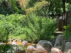 -昆明动物园
