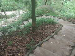 -火炉山森林公园