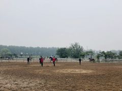 -月河湾马术俱乐部(朝阳店)