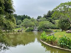 -番禺大夫山森林公园