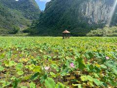 -靖西鹅泉风景区