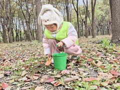 -嘉北郊野公园