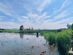 -野鸭湖国家湿地公园