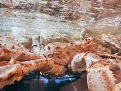 -79号渔船海鲜饭店(华强北店)