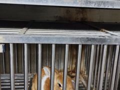 -深圳野生动物园