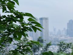 -乌山风景区