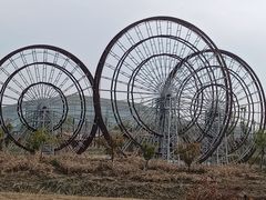 -荷花荡