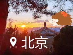 -姚记炒肝店(鼓楼店)