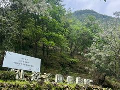 -芳草地度假酒店·野炉中餐厅