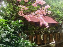 -月亮眼花园餐厅书吧酒吧