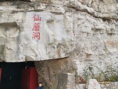 -仙蘑洞