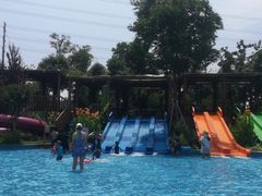 -苏州乐园森林水世界