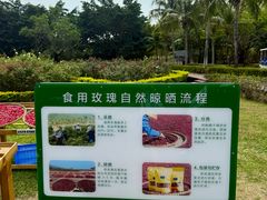 -亚龙湾国际玫瑰谷