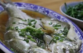 Pine Needle White Fish