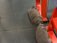 -KingBull私教健身&格斗订制(龙井商业中心店)