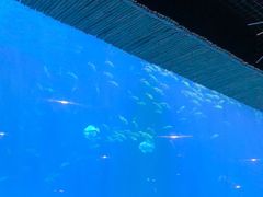 -西安华夏文旅水世界