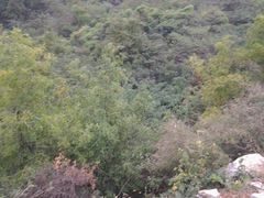 -龙洞风景区-藏龙涧