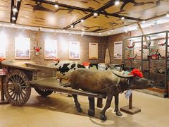 -横沥牛庄(总店)