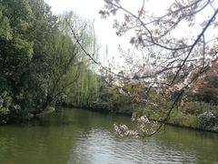 -荆川公园
