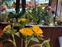 -百特喜·意大利餐厅(八佰伴镇江店)