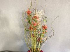 -荷兰布尔玛国际花艺学院