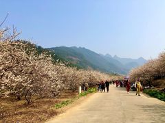 -广州市流溪河国家森林公园
