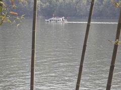 -后柳水乡
