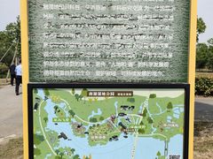 -南湖湿地公园