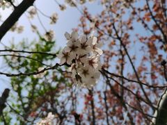-长兴岛海滨公园