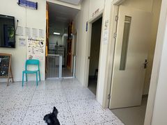 -心语宠物医院·急重症转诊中心·瑞辰华诺(南青路店)