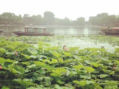 -小王府(什刹海店)