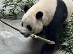 -青藏高原野生动物园