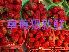 -金尚源SHANG