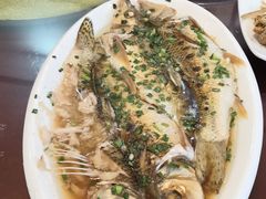 -呼吸森林·生态农庄农家乐私房菜