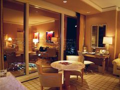 -拉斯维加斯永利酒店