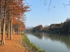 -中国湿地博物馆