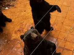 -昆明动物园